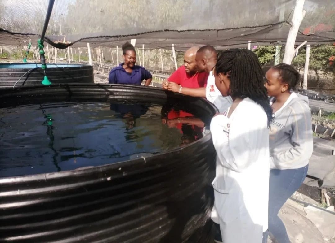 Food security through aquaculture