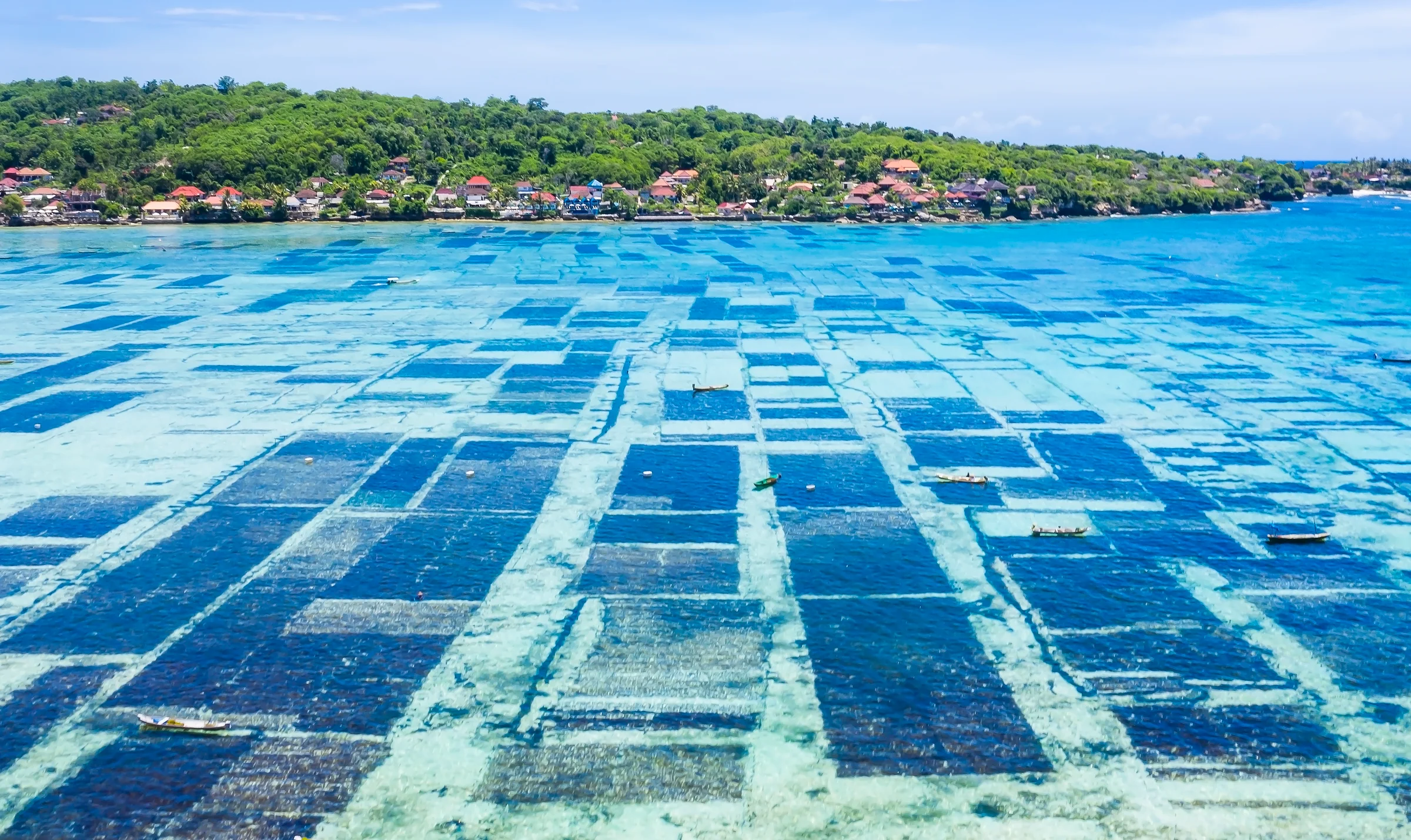 Ocean conservation and sustainable mariculture